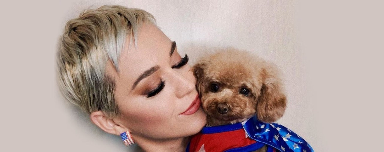 Is Katy Perry Ready To Go Vegan Along With Her Dog