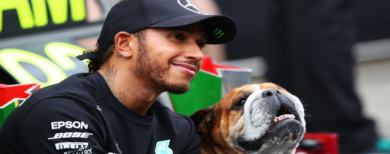 Lewis Hamilton is a Vegan Athlete